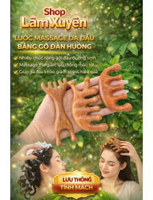 Lược massage da đầu bằng gỗ đàn hương nhiều chức năng gội đầu dưỡng sinh lưu thông tĩnh mạch