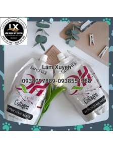 Hấp dầu QH LacTus Season 