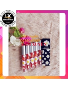 Son môi bông cúc siêu lì PNFGIÁ RẺ chất son mịn, màu sắc tươi tắn, xinh xắn, giá rẻ dành cho giới trẻ phông cách