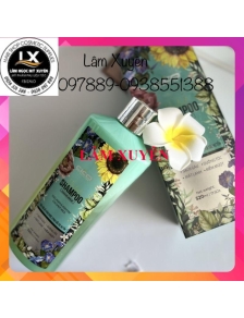 Dầu gội thảo dược CICO 520 ml CHÍNH HÃNG giàu dưỡng chất keratin và collagen phục hồi hư tổn và nuôi dưỡng cho tóc